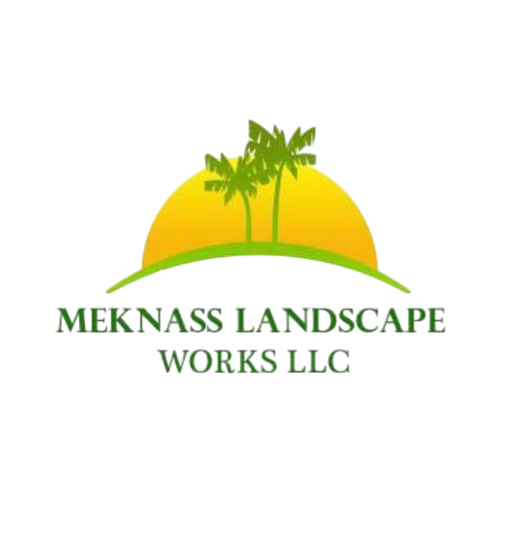 PalmScape UAE - Palm Trees & Landscaping Services Dubai