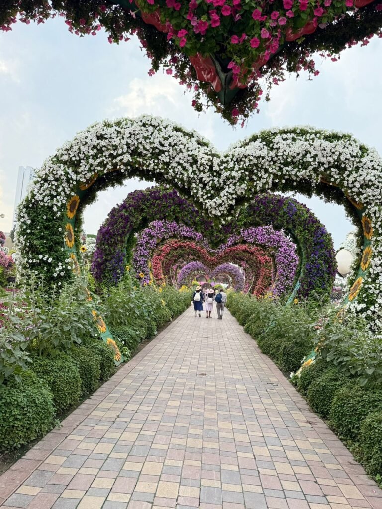 Professional garden landscaping in Abu Dhabi with green lawns, decorative plants, and stone pathways