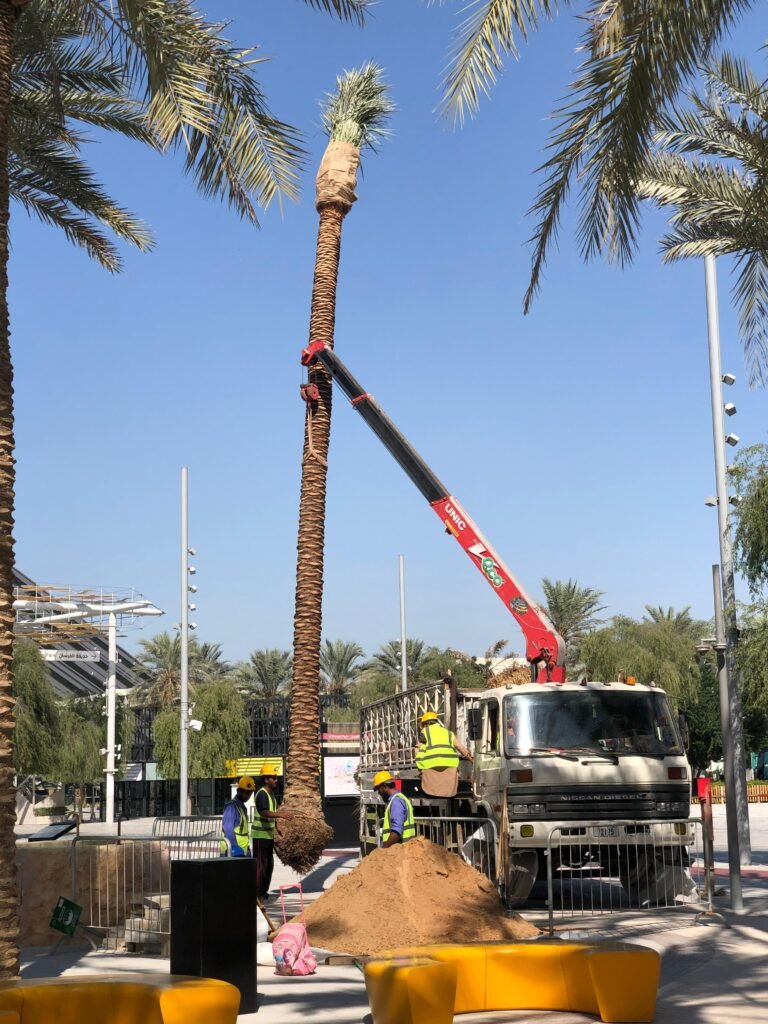 Modern construction project in Abu Dhabi skyline