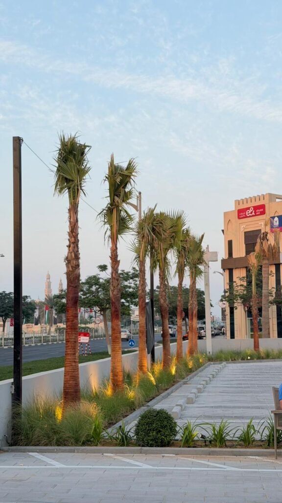 Infrastructure development project in Abu Dhabi UAE