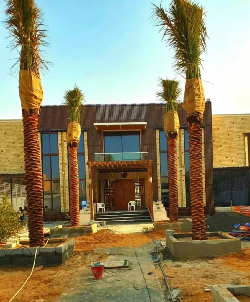 Luxury villa date palm tree project in Ras Al Khaimah UAE