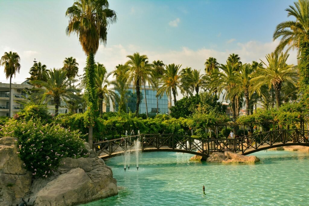 Modern garden landscaping project in Dubai UAE