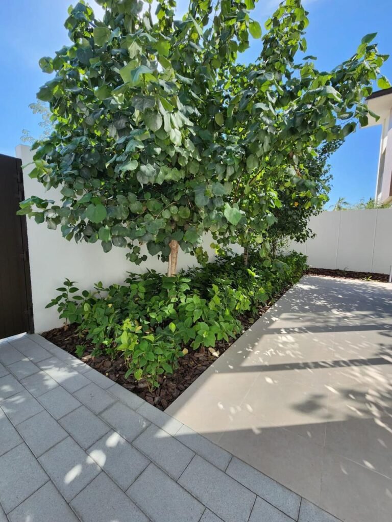 PalmScape UAE Landscape Design