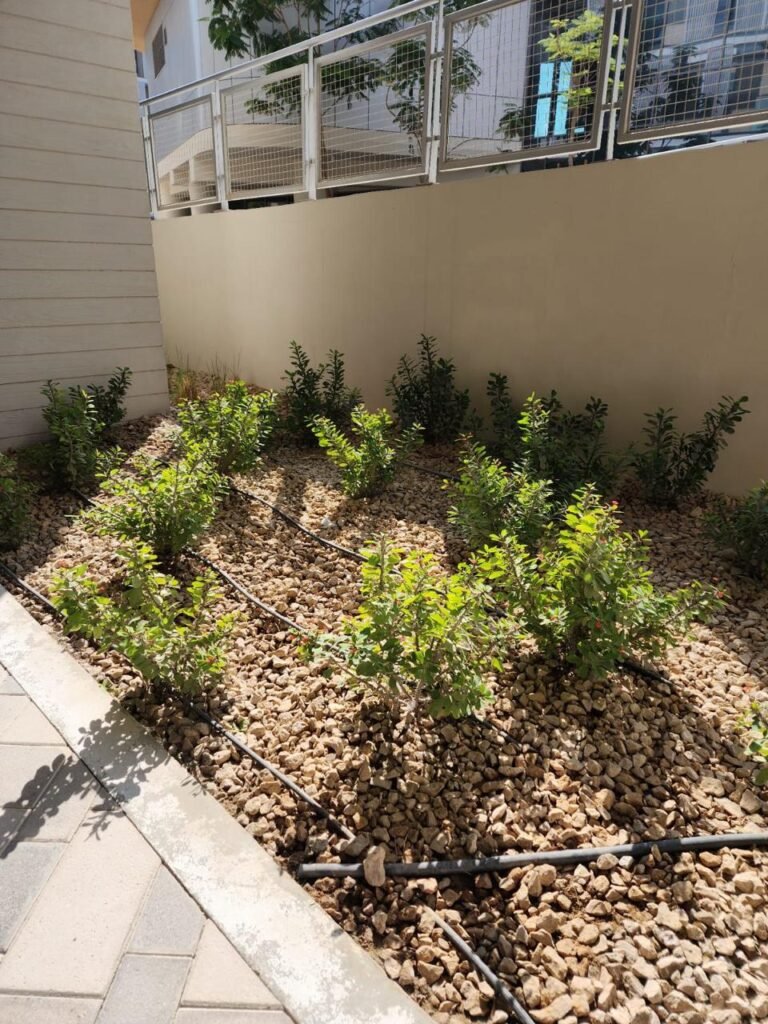 Professional Landscape Company Dubai