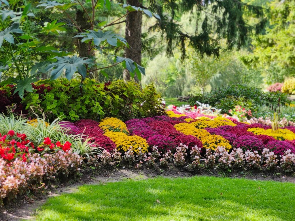 Landscaping Abu Dhab