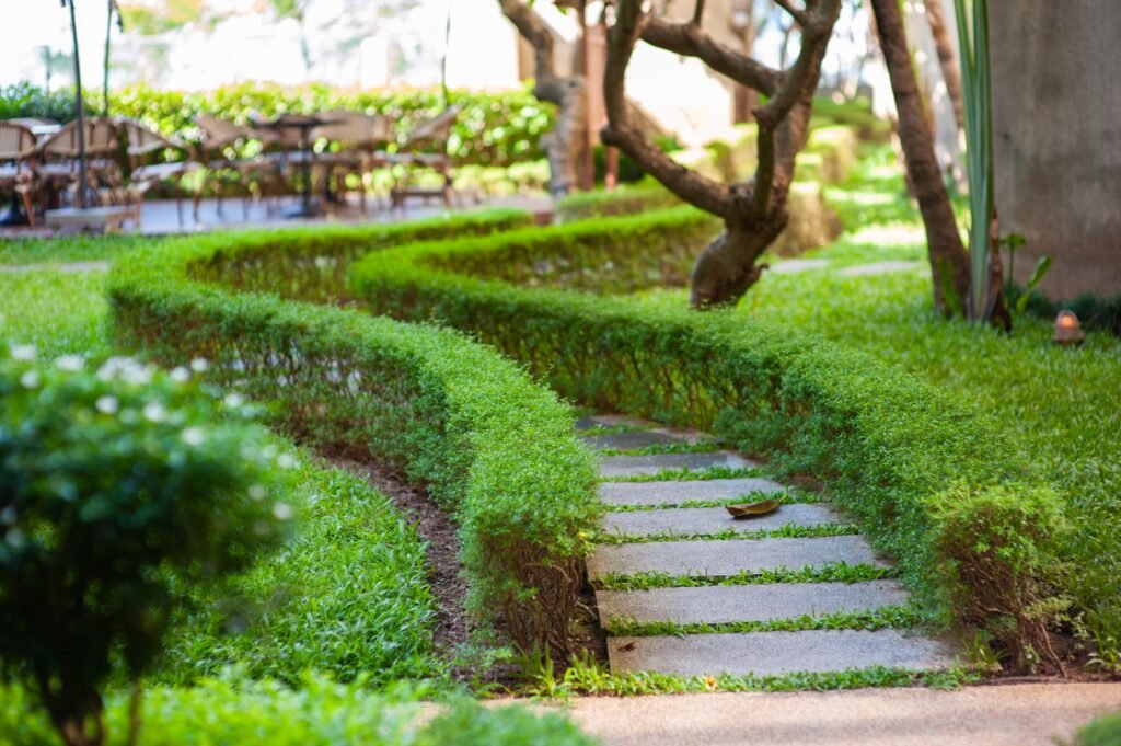 Landscape Design Dubai