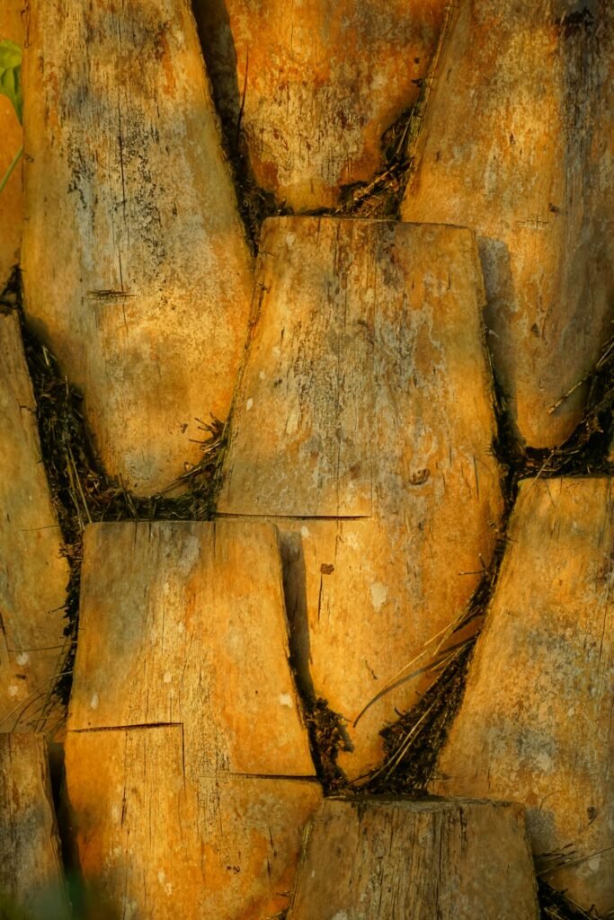 Date Palm Wood Supplier UAE Providing Premium Palm Timber