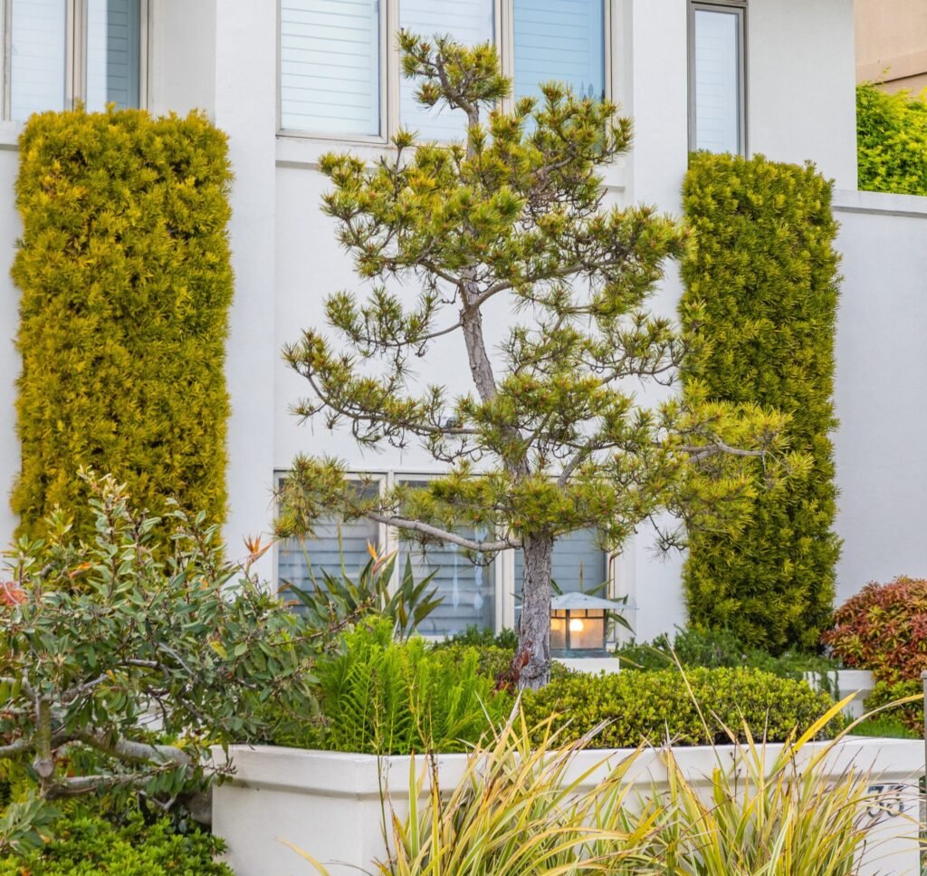 Garden Design Duba