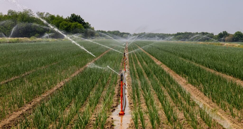 Water sprinkler irrigation system covering a landscaped garden