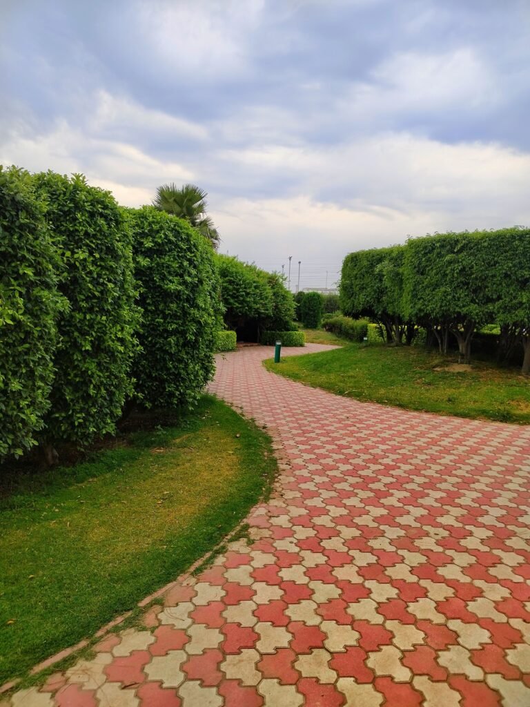 Landscaping services in Dubai with modern garden landscape design