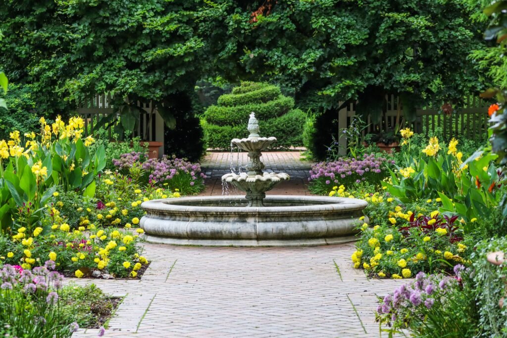 Modern garden landscaping with palm trees and green plants in Dubai, UAE